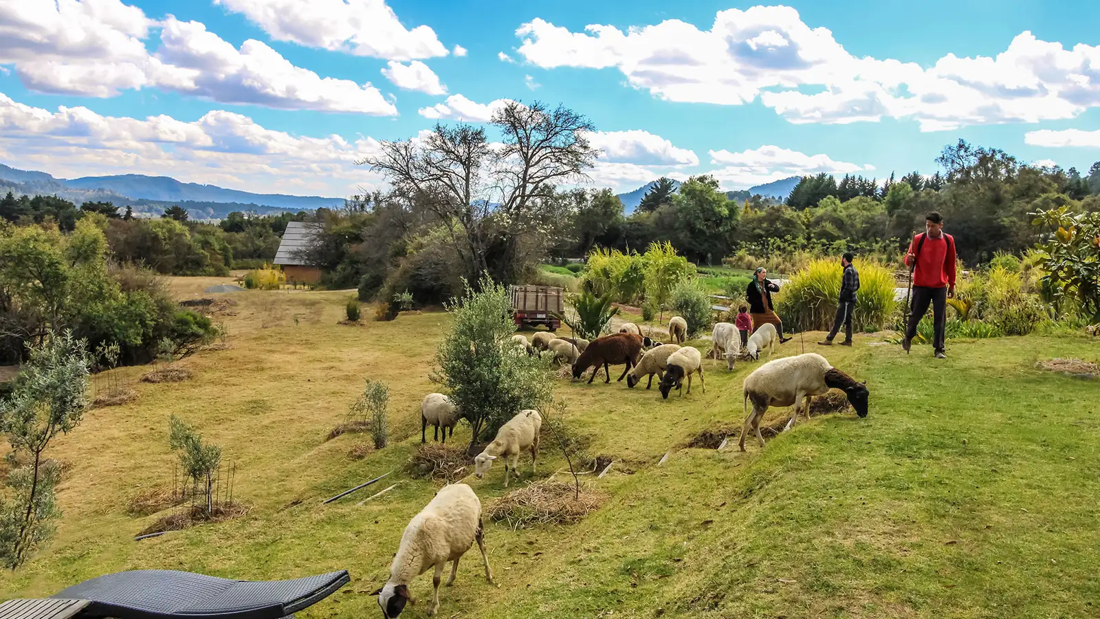 Wellness Retreats